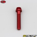 Tornillo de 6x30 mm cabeza cónica BTR Evotech rojo (por unidad)