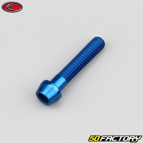 6x30 mm Schraube blau Evotech konischer BTR-Kopf (einzeln)