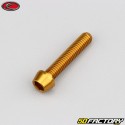 Tornillo de XNUMXxXNUMX mm cabeza cónica BTR Evotech oro (simple)