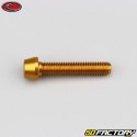 Tornillo de XNUMXxXNUMX mm cabeza cónica BTR Evotech oro (simple)