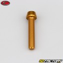 6x30 mm Schraube konischer BTR-Kopf Evotech Gold (einzeln)