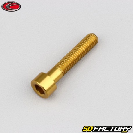 6x30 mm Schraube BTR Kopf Evotech Gold (einzeln)