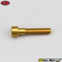 6x30 mm screw BTR head Evotech gold (single)