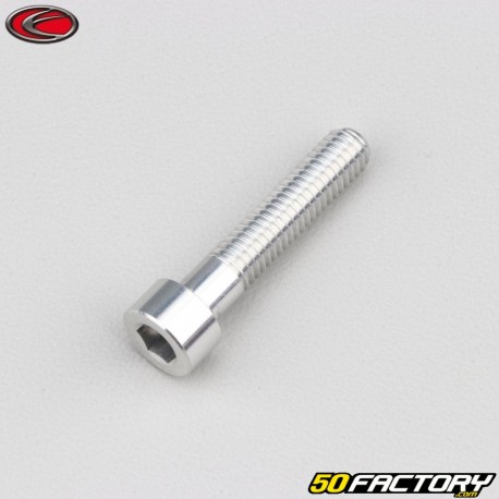 Tornillo de 6x30 mm cabeza BTR Evotech gris (por unidad)