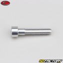 Tornillo de 6x30 mm cabeza BTR Evotech gris (por unidad)