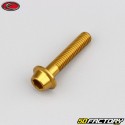 6x30 mm parafusos abobadados BTR base ouro Evotech (simples)