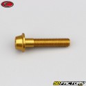 Tornillos de 6x30 mm cabeza BTR abovedada base dorada Evotech (simple)