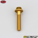 Tornillos de 6x30 mm cabeza BTR abovedada base dorada Evotech (simple)