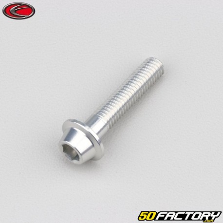 Tornillo de 6x30 mm BTR cabeza abombada gris base Evotech (por unidad)