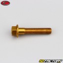 6x30 mm vite testa esagonale Evotech base oro (singola)