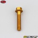 6x30 mm vite testa esagonale Evotech base oro (singola)