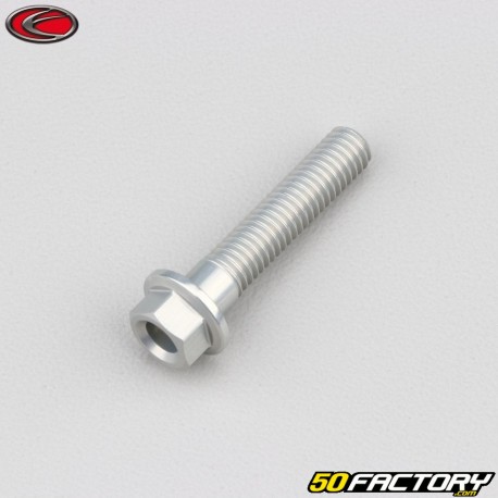 6x30 mm screw hex head gray Evotech base (single)