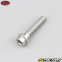 Tornillo de cabeza hexagonal gris de 6x30 mm Base Evotech (simple)