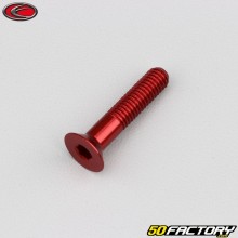 Vite 6x30 mm BTR testa svasata Evotech rosso (per unità)