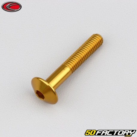 Vite da 6x35 mm Testa bombata Evotech BTR oro (singola)