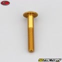 6x35 mm screw Evotech domed head BTR gold (single)