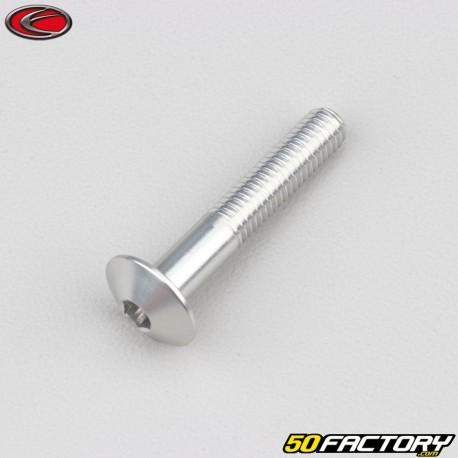 6x35 mm screw rounded head BTR Evotech gray (per unit)