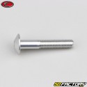 6x35 mm screw rounded head BTR Evotech gray (per unit)