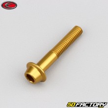 6x35 mm screws domed BTR head golden Evotech base (per unit)