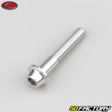 6x35 mm screw BTR domed head gray Evotech base (per unit)