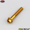 6x35 mm screw hex head Evotech gold base (single)