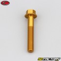 6x35 mm screw hex head Evotech gold base (single)