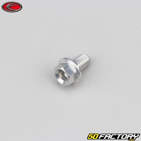 6x10 mm vite testa esagonale grigia base Evotech (singola)