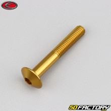 Tornillo de 6x40 mm BTR cabeza abombada Evotech dorado (por unidad)