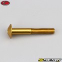 Tornillo de 6x40 mm Evotech cabeza abovedada BTR oro (simple)