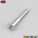 Tornillo cabeza redonda BTR Evotech gris de 6x40 mm (por unidad)