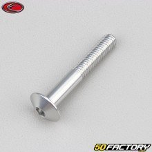 Vite 6x40 mm BTR testa tonda Evotech grigio (per unità)