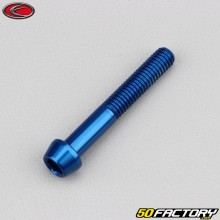 Vis 6x40 mm tête BTR conique Evotech bleue (à l'unité)