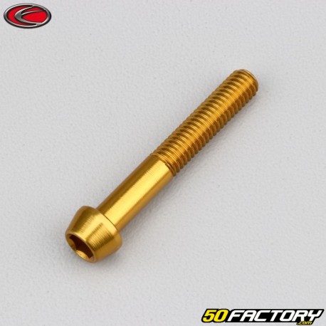 6x40 mm screw conical BTR head Evotech gold (single)