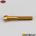 Tornillo de 6x40 mm cabeza cónica BTR Evotech oro (simple)