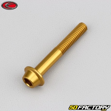 6x40 mm screws domed BTR head gold Evotech base (single)