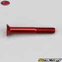 XNUMXxXNUMX mm screw countersunk BTR head Evotech red (per unit)