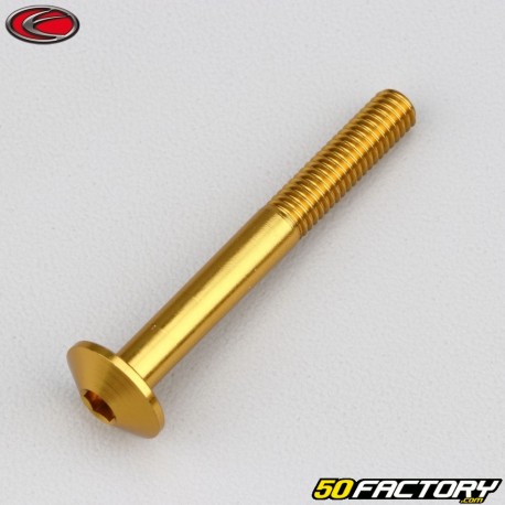 6x50 mm screw Evotech domed head BTR gold (single)