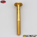 6x50 mm screw Evotech domed head BTR gold (single)