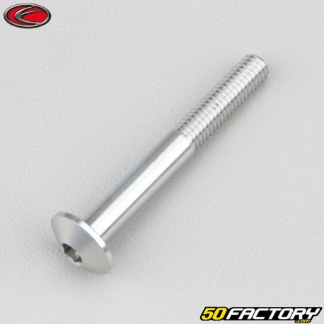 6x50 mm screw rounded head BTR Evotech gray (per unit)