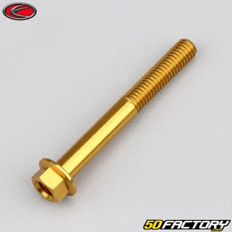 6x50 mm vite testa esagonale Evotech base oro (singola)