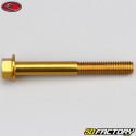 6x50 mm screw hex head Evotech gold base (single)