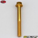 6x50 mm vite testa esagonale Evotech base oro (singola)