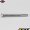 Tornillo de 6x70 mm BTR cabeza avellanada Evotech gris (por unidad)