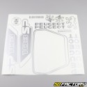 Kit decorativo Peugeot 103 SP prata V2