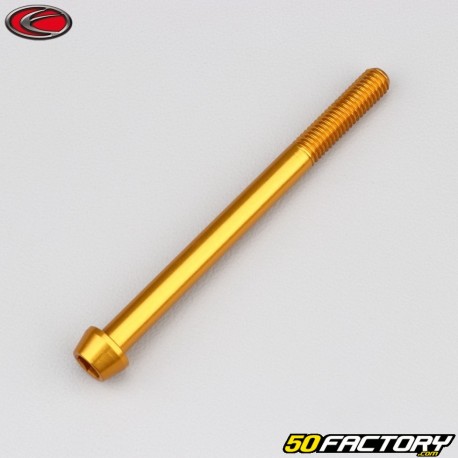 6x75 mm Schraube konischer BTR-Kopf Evotech Gold (einzeln)