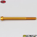 6x75 mm screw conical BTR head Evotech gold (single)