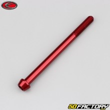 6x80 mm screw conical BTR head Evotech red (per unit)