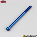 6x80 mm screw blue Evotech conical BTR head (single)