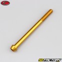 6x80 mm screw conical BTR head Evotech gold (single)