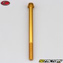 6x80 mm screw conical BTR head Evotech gold (single)